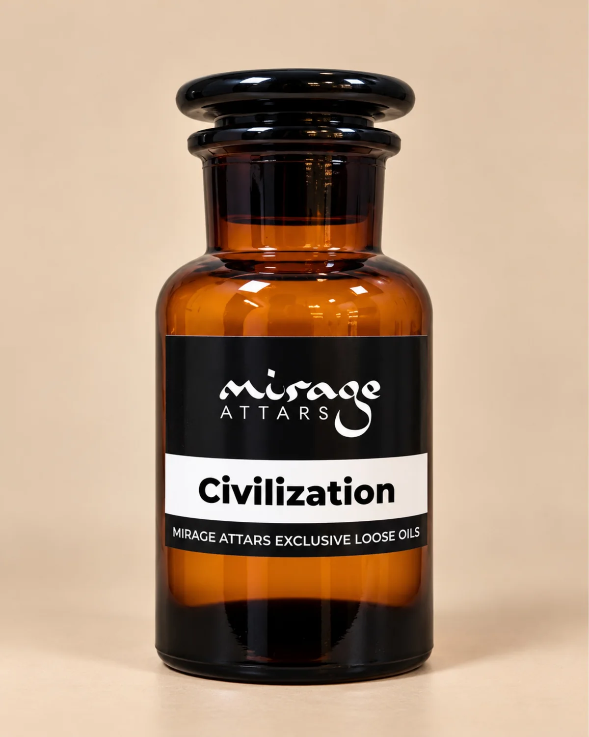 Civilization